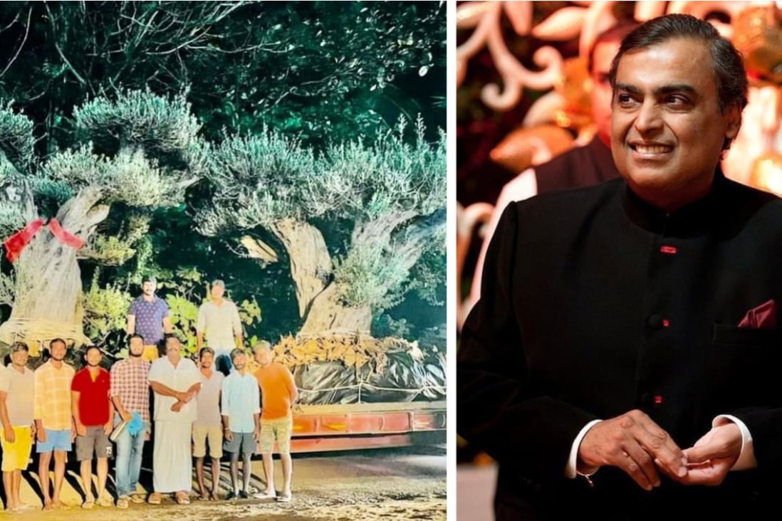 Mukesh Ambani is renowned for his expensive taste in cars, houses and planes – apparently he also has a thing for quality forestry. Photos: @PavanJourno/Twitter, @mukesh.ambaniii/Instagram