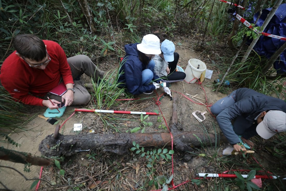 Volunteer Stephen Alexander (left) and his team help recover an item from the wreckage in Tai Tam Country Park. Photo: Xiaomei Chen