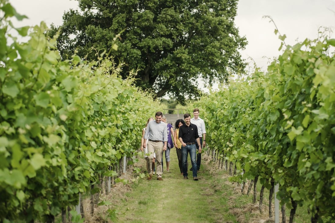 Is English sparkling wine as good as champagne? At its best it has the