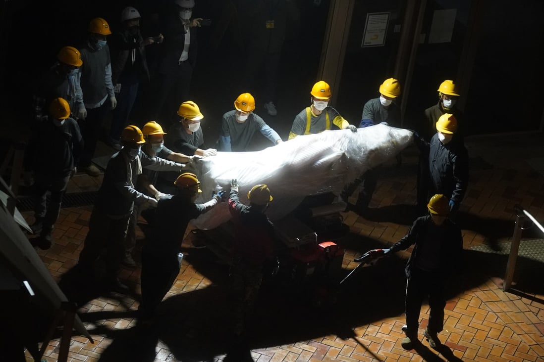 Workers remove the Pillar of Shame sculpture at University of Hong Kong in the early hours of December 24, 2021. Photo: Sam Tsang