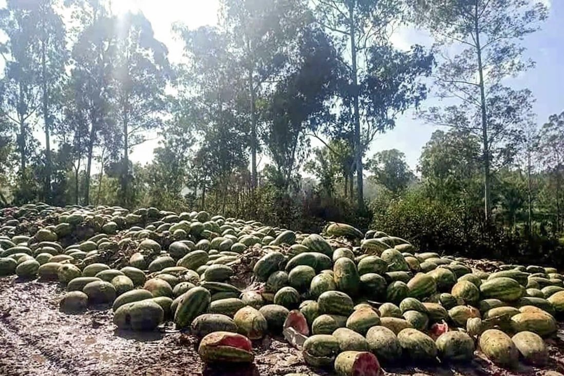 Dumped watermelons rot by the roadside in Myanmar near the border with China’s Yunnan province. Photo: Handout