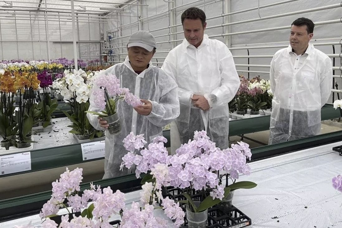 Jack Ma seen visiting a greenhouse builder in the Netherlands on October 25, 2021. Photo: Handout