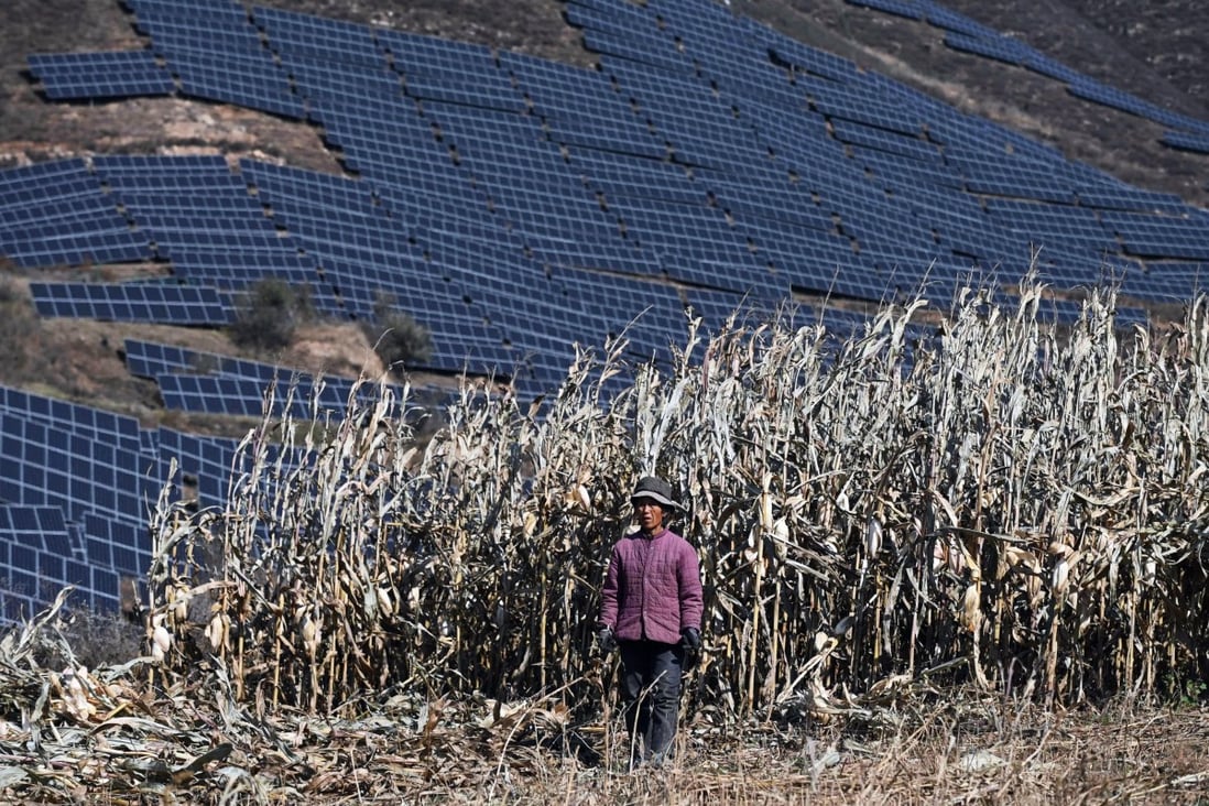 This photo taken on October 23, 2021 shows a farmer in a field near solar panels on a hillside at Huangjiao village in Baoding, China’s northern Hebei province.  Photo: AFP