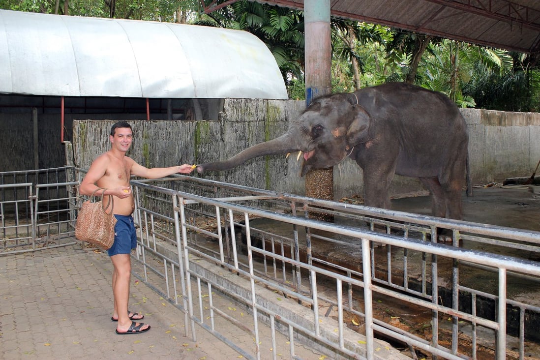 Hell on earth': Zoo in Thailand long accused of animal abuse finally closes, but what will happen to the animals? | South China Morning Post Hell on earth': Zoo in Thailand long accused of animal abuse finally closes, but what will happen to the animals? | South China Morning Post