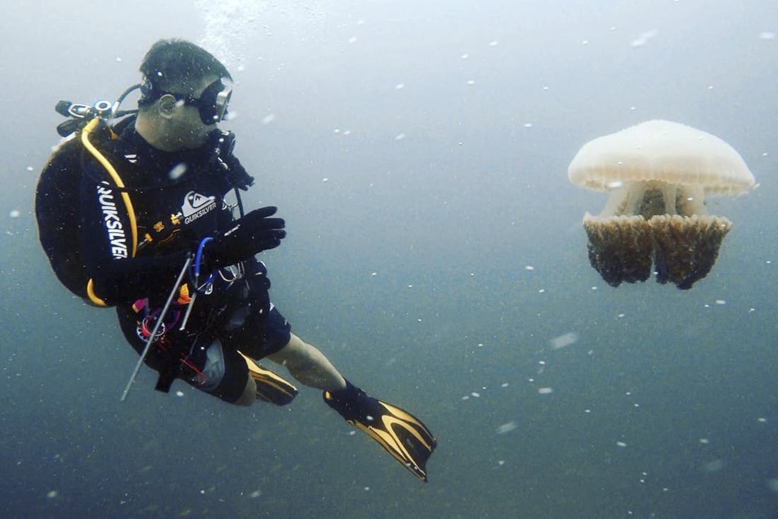 Gen Y Chinese ride out the Covid19 pandemic in Thailand, Malaysia and