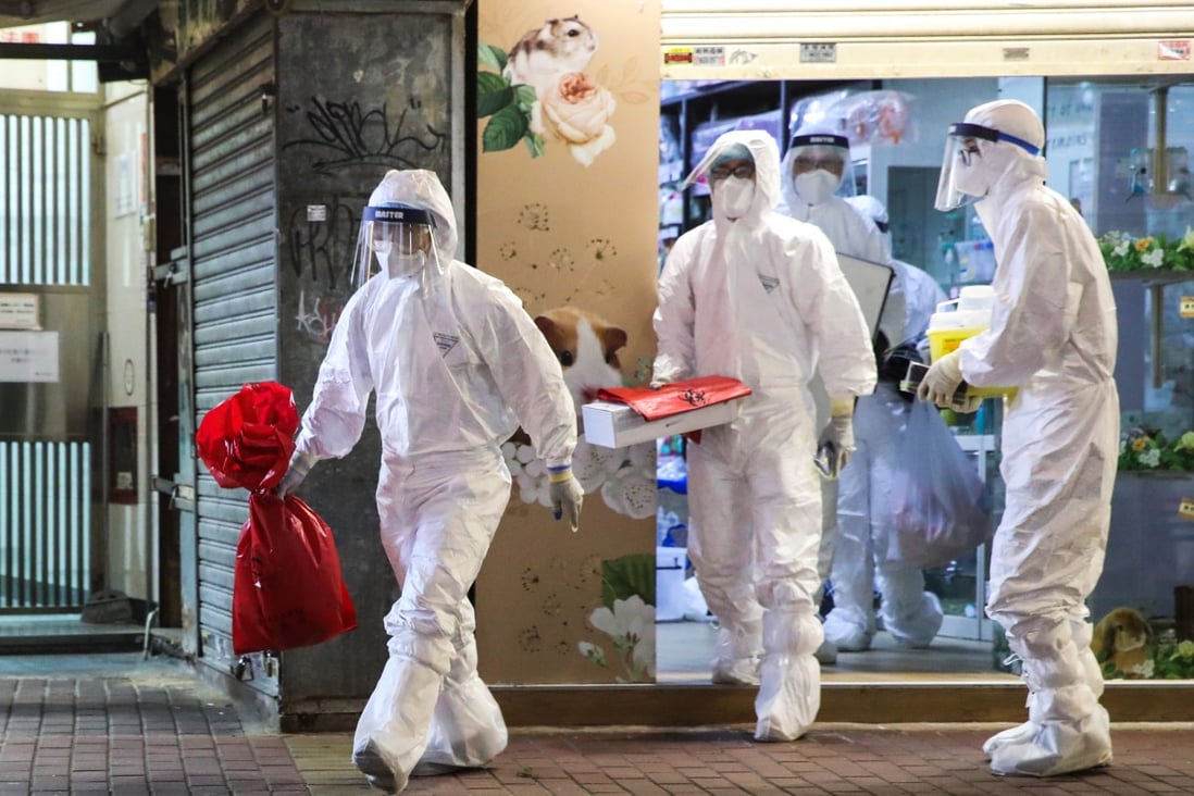 Government workers take away hamsters at Little Boss in Causeway Bay on Tuesday. Photo: Edmond So