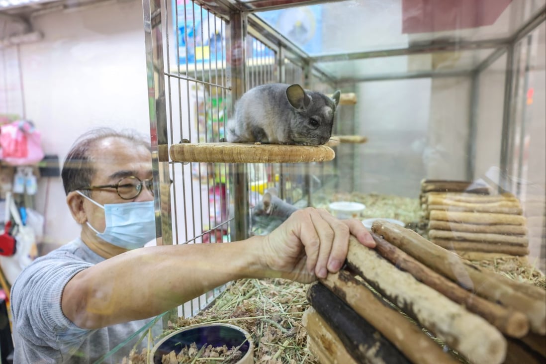 Why Hong Kong’s hamster cull isn’t the best choice from a veterinary