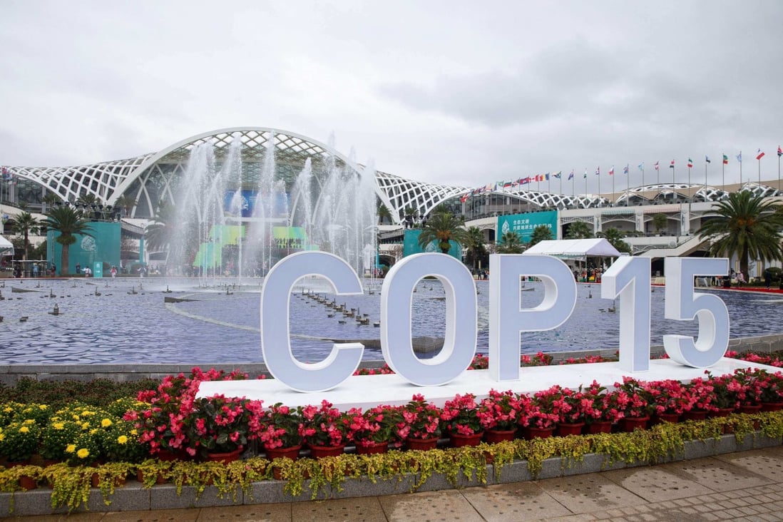 The venue of the UN Biodiversity Conference (COP 15) in Kunming. Photo: AFP