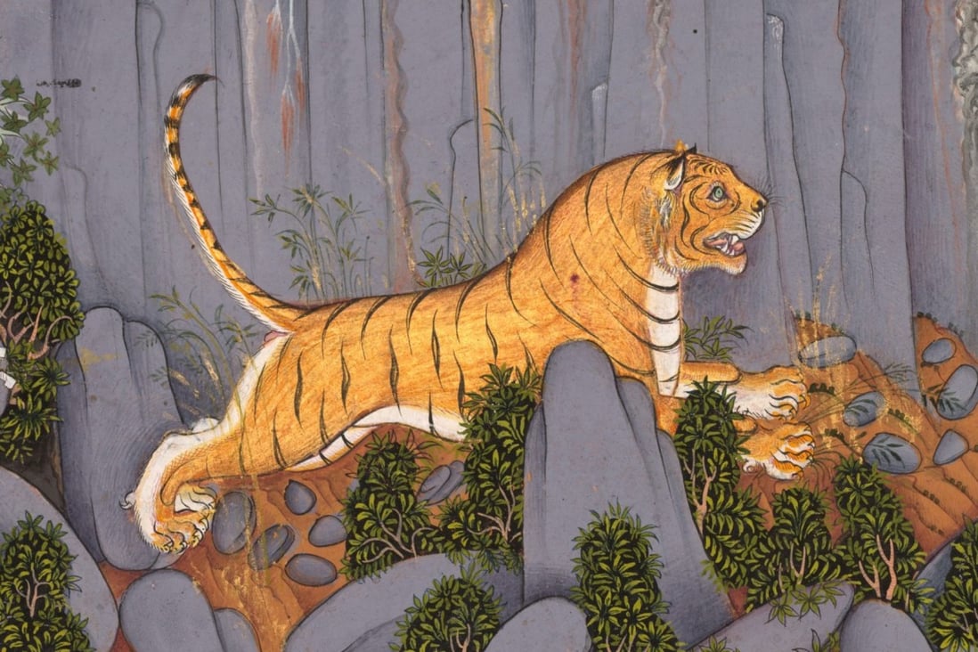 Tiger Hunt of Ram Singh II, ink painting, c. 1830-1840, India. The word “tiger” and the animal’s characteristics have inspired a number of phrases, including the “Four Tigers”, “tiger mother” and “paper tiger”. Photo: Universal Images Group via Getty Images