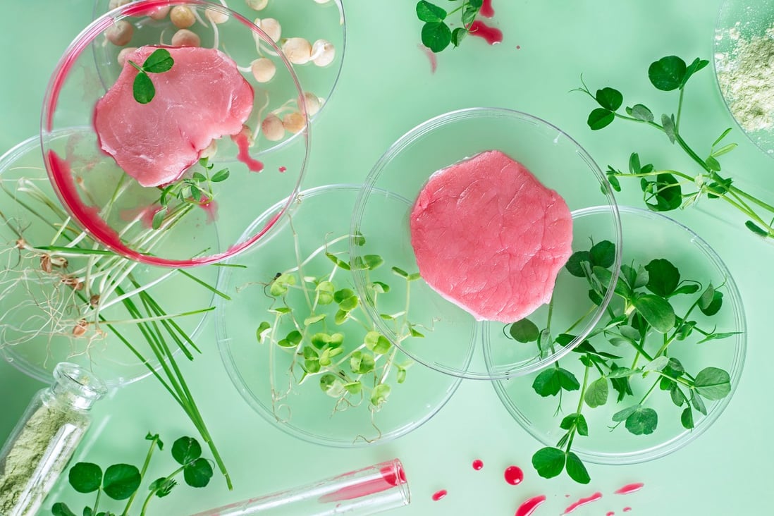 China has given prominence to alternative proteins such as lab-grown meat in the latest five-year agricultural plan. Photo: Shutterstock 