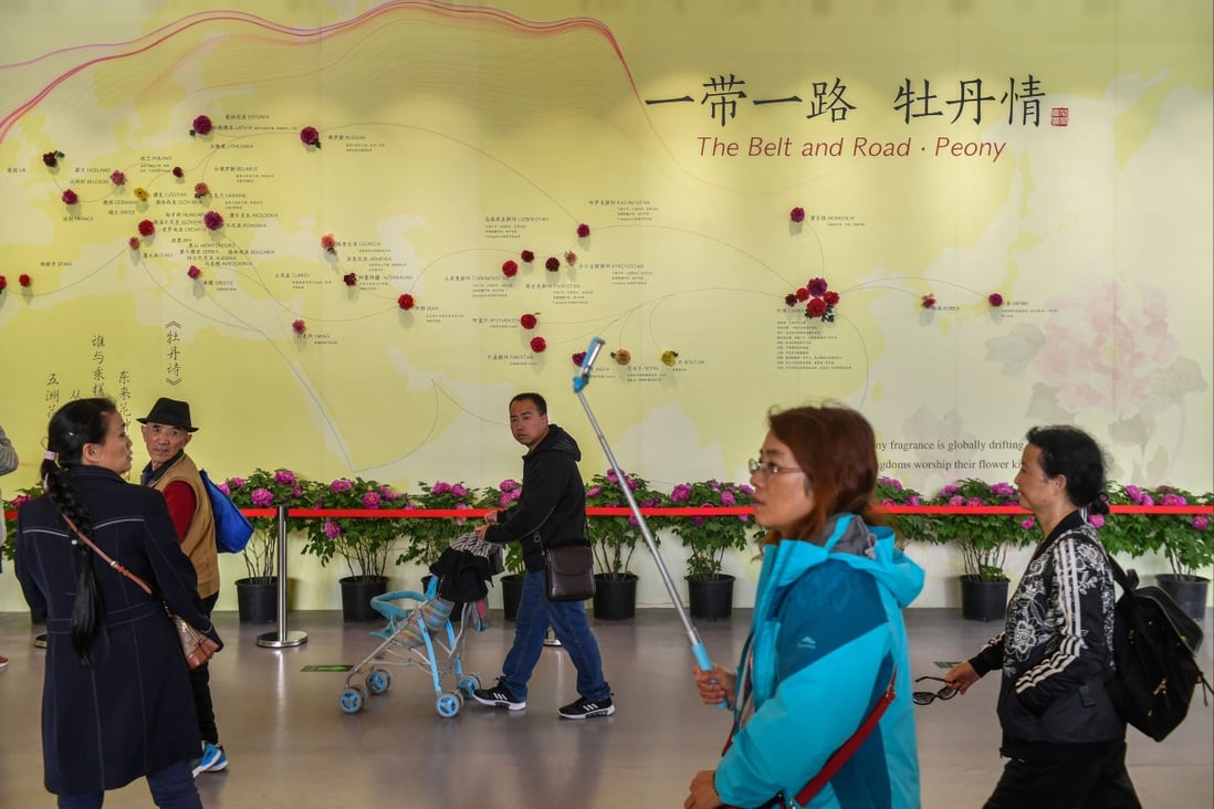 A Belt and Road Initiative display at Beijing Expo 2019, before Covid-19 changed the infrastructure fund’s focus to public health. Photo: Reuters