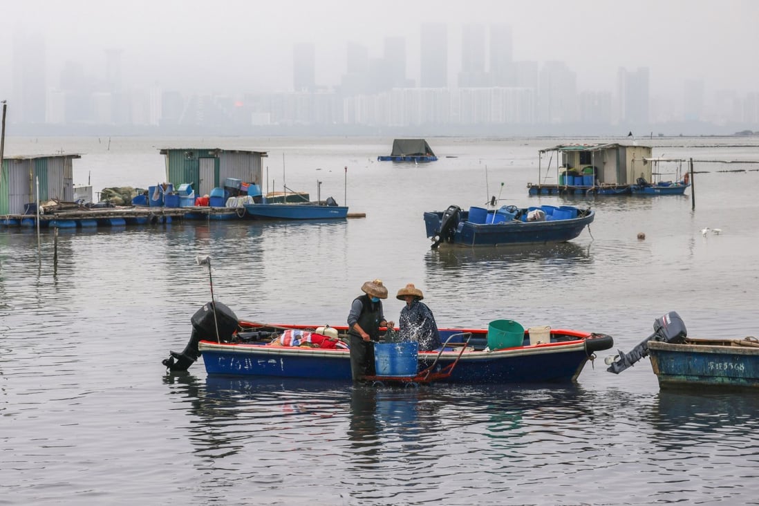 A view of an oyster farming area in Lau Fau Shan in the New Territories on January 25, with Shenzhen in the misty background. The village has been earmarked for transformation in the government’s Northern Metropolis plan. Photo: Nora Tam