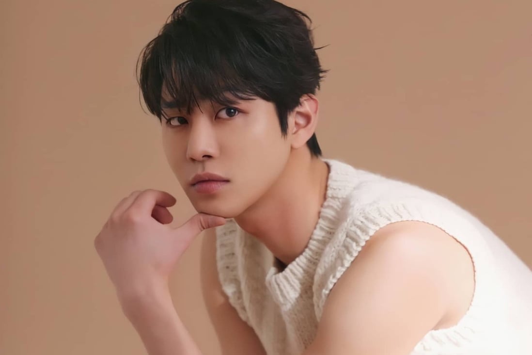 Who is Ahn Hyoseop, star of Netflix’s A Business Proposal? The Dr