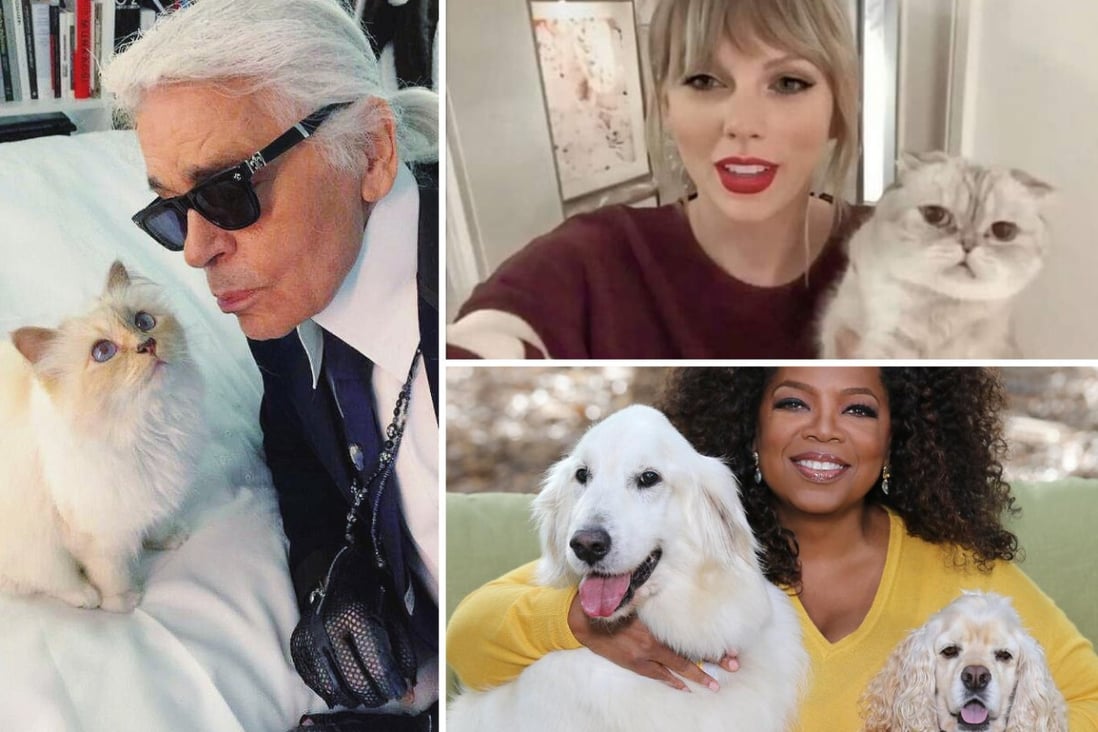 The 8 richest pets in the world: meet Taylor Swift and Oprah's ...
