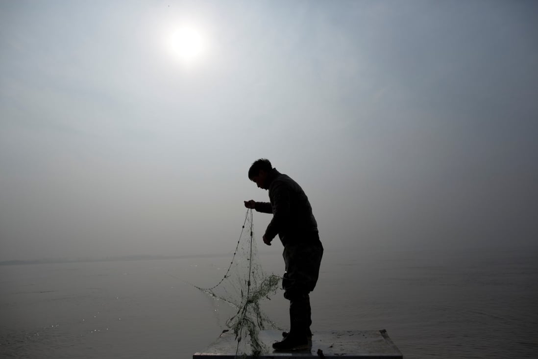 Fish stocks have been in obvious decline in the Yellow River over the last 15 years. Photo: Reuters