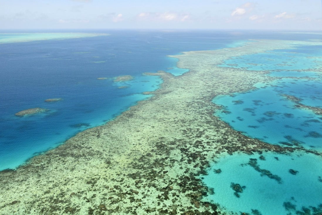 Aerial photos of the Great Barrier Reef in Australia which is suffering from coral bleaching. Photo: Kyodo News via AP