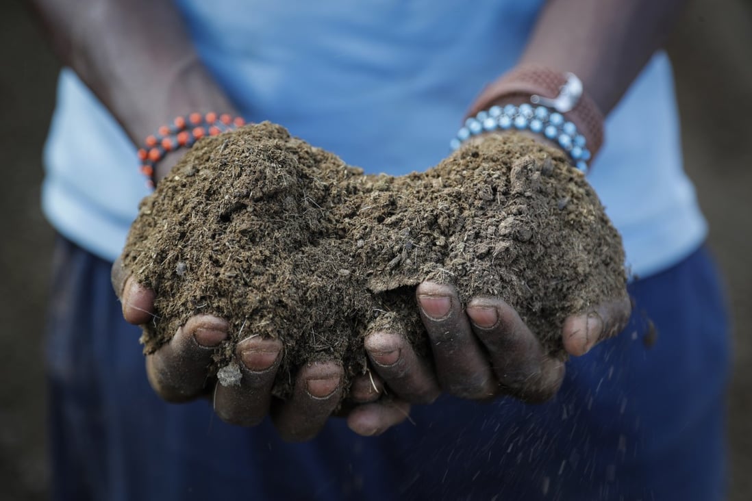 A Kenyan farmer holds livestock manure that he will use to fertilize crops, due to the increased cost of fertilizer that he says he now can’t afford to purchase. Photo: AP
