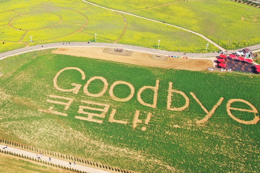 The phrase “Goodbye coronavirus!” is written in a rye paddy in Anseong, South Korea. The message celebrates the country’s lifting of most Covid-19 social distancing rules. Photo: EPA-EFE/Yonhap 