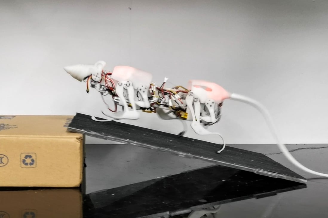 The robot rat can climb over obstacles. Photo: Shi Qing