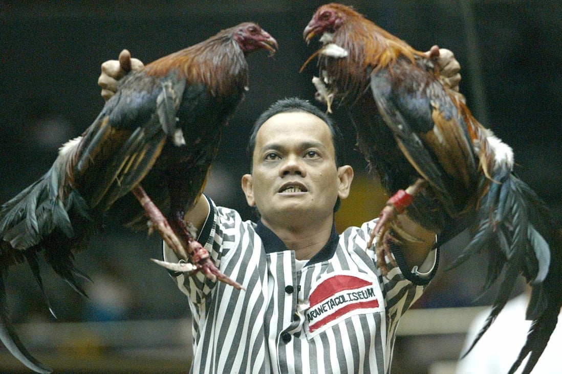 online cockfighting research paper