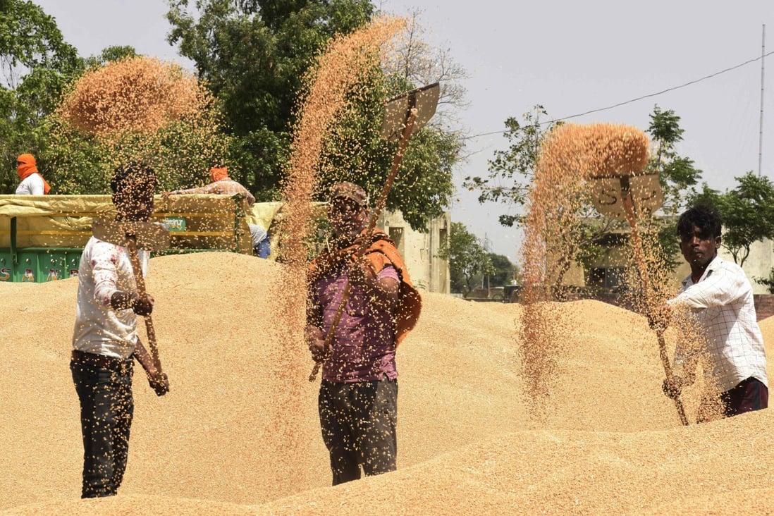 Workers separate grains of wheat from the husk at a wholesale market in Amritsar, India. Photo : AFP