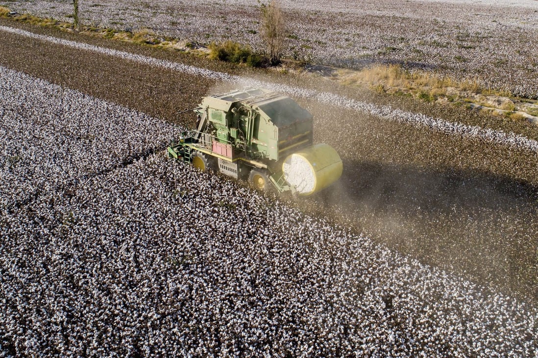 A cotton harvester works in a field in China’s Xinjiang region, where there have been allegations of forced labour. Photo: AP