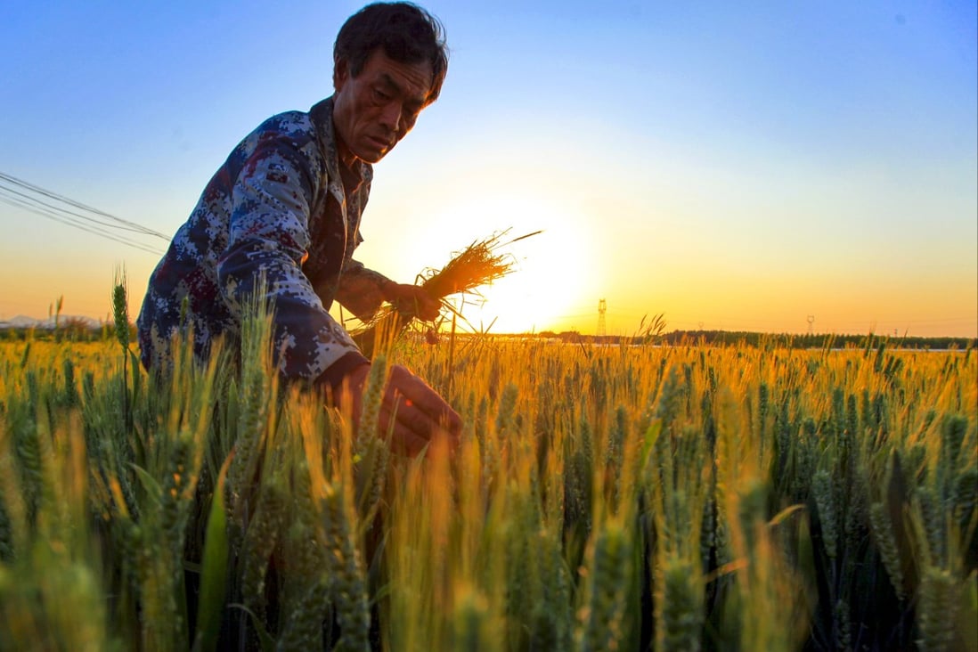 China has been ramping up efforts to safeguard food security for its 1.4 billion people. Photo: Xinhua