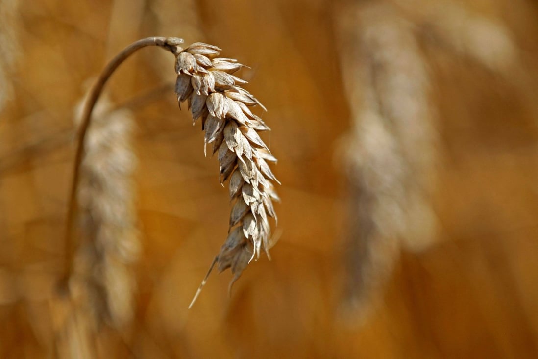Grain Photo: Reuters