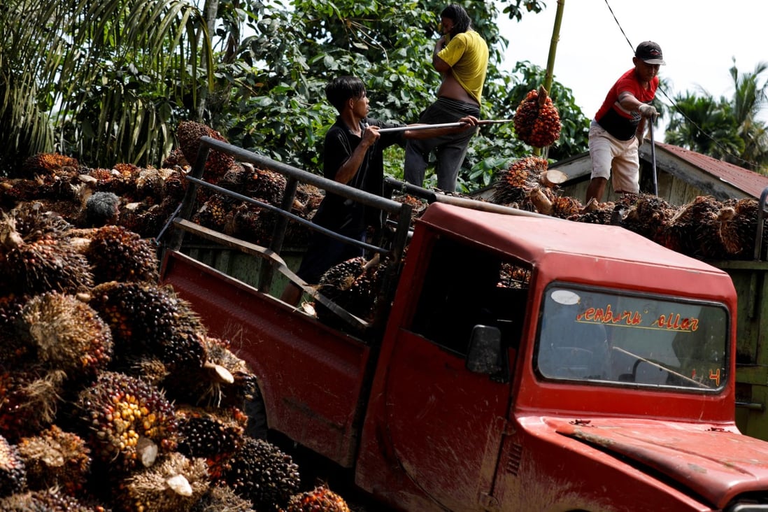 Workers in Indonesia load palm oil fresh fruit bunches to be transported from the collector site to factories. On Thursday, Indonesia said it will lift its three-week-old palm oil export ban starting on Monday due to improvements in its domestic cooking oil supply. Photo: Reuters