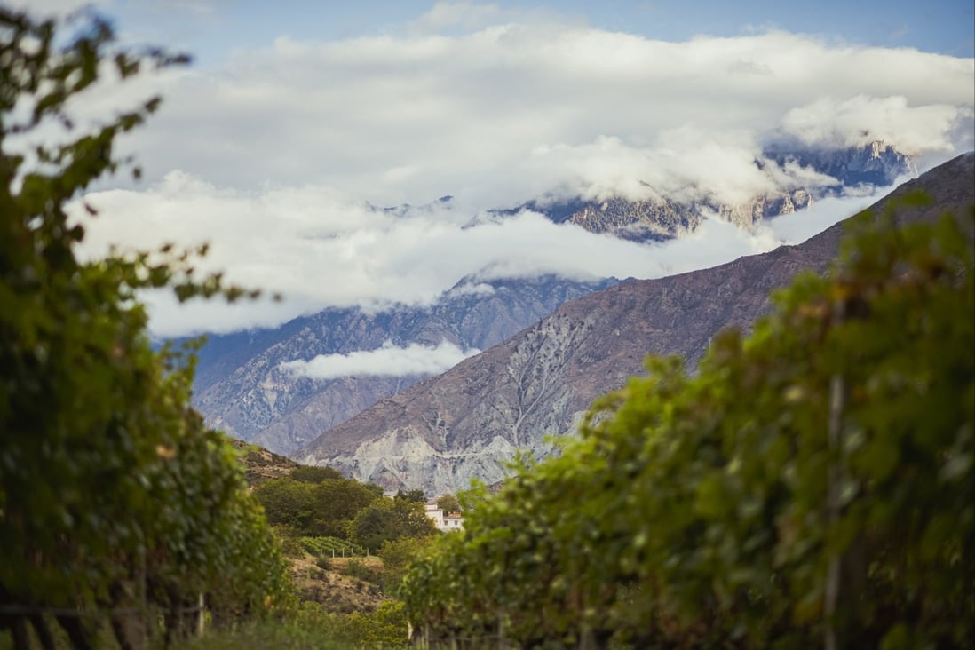 Treasury Wine Estates is taking advantage of China’s wine region (pictured), and later this year will see the release of its first made-in-China wine for the domestic market. Photo: Penfolds