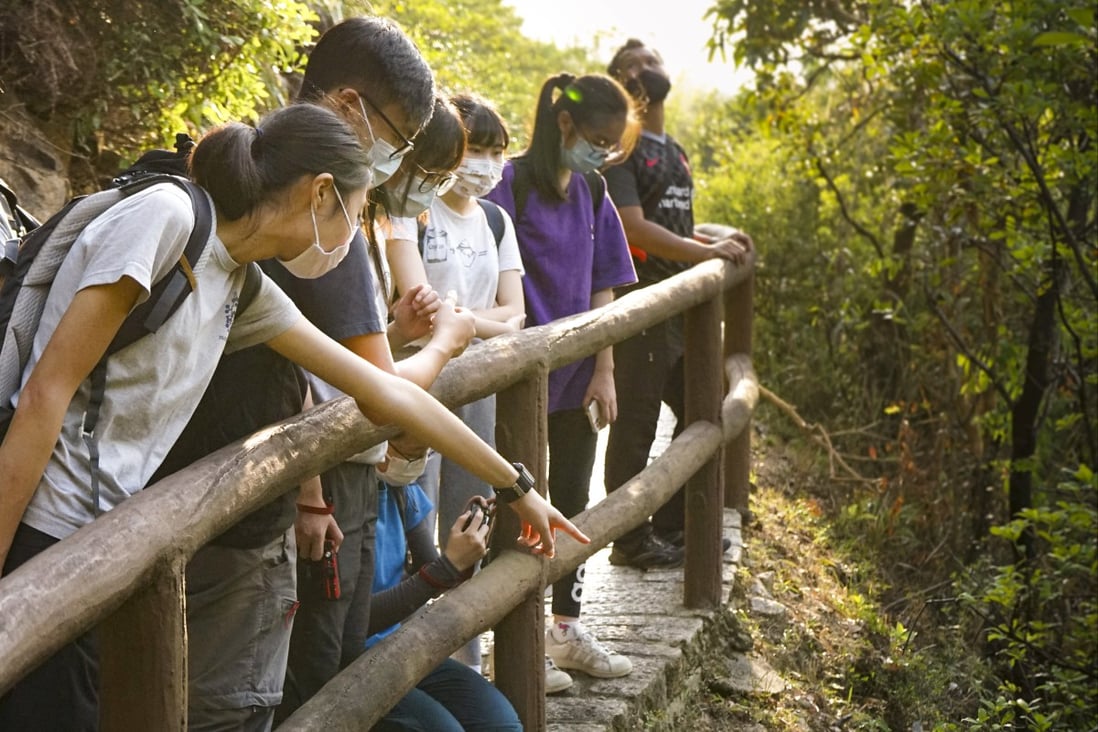More than 800 trained volunteers helped to carry out the research on spiders found in Hong Kong. Photo: Handout