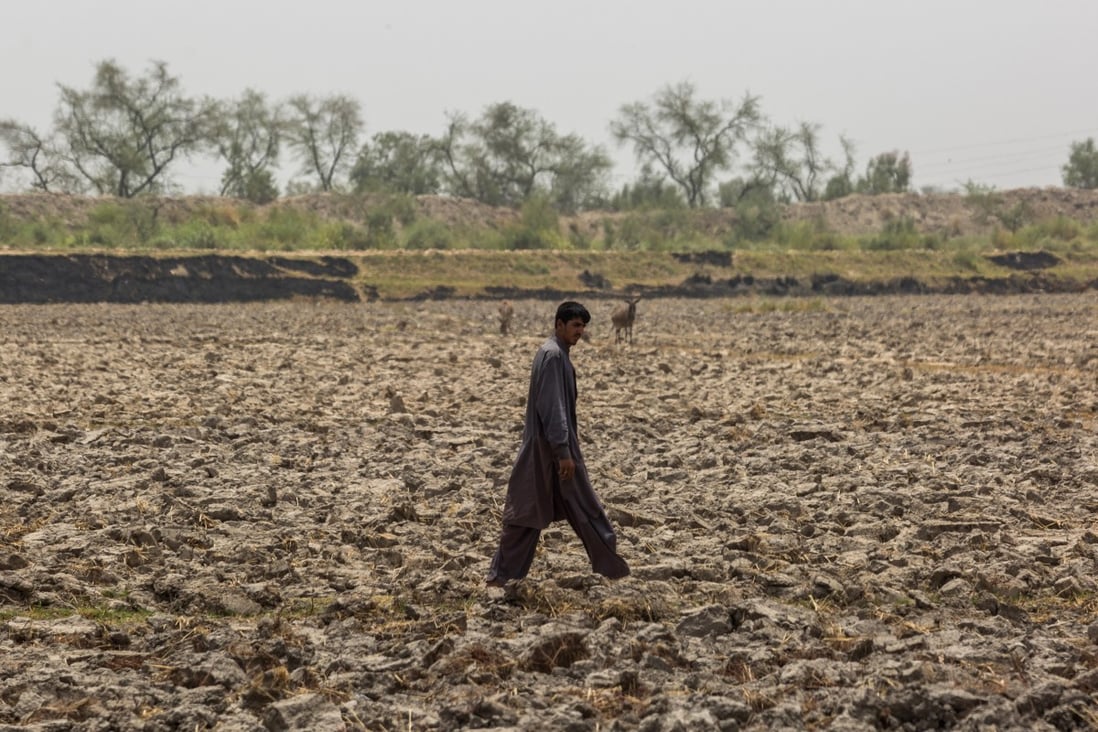 A man walks on a dried up field in Jacobabad, Pakistan. Climate change made the extreme temperatures that baked north-west India and Pakistan in April and May over 100 times more likely and also increased the chances that such heatwaves will occur more frequently by the end of the century. Photo: Bloomberg