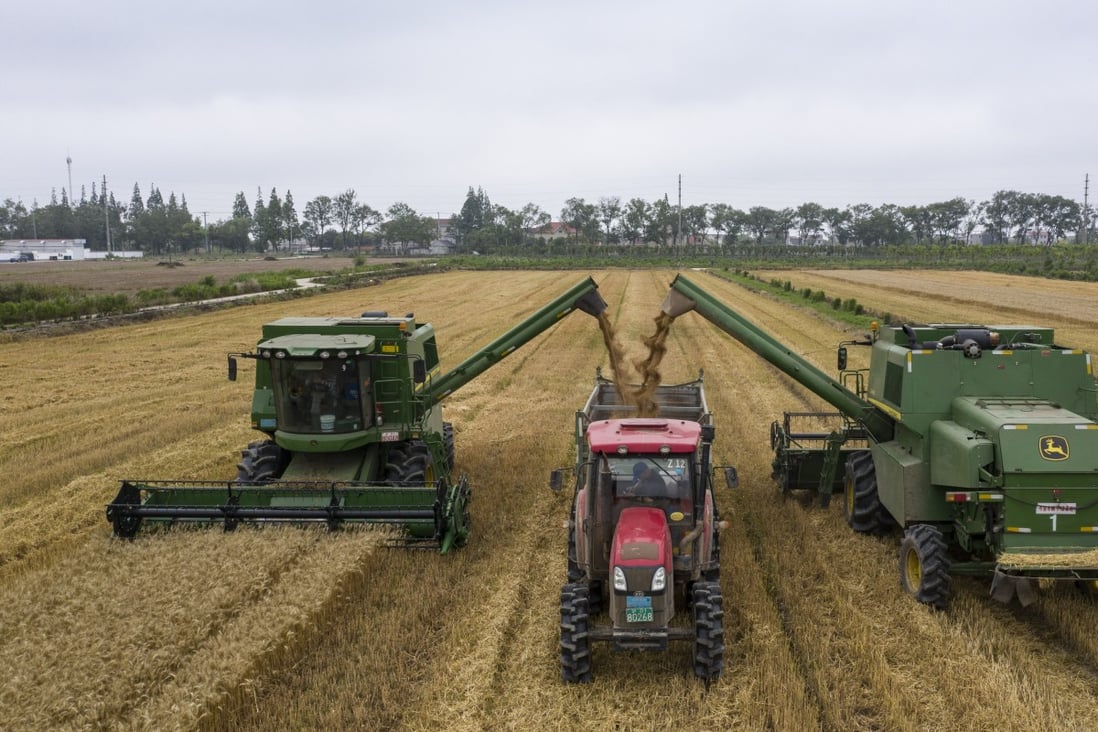 Harvesters transfer wheat into a tractor on a field before it will be turned to rice paddies on Chongming Island, China’s Shanghai. Photo: Bloomberg