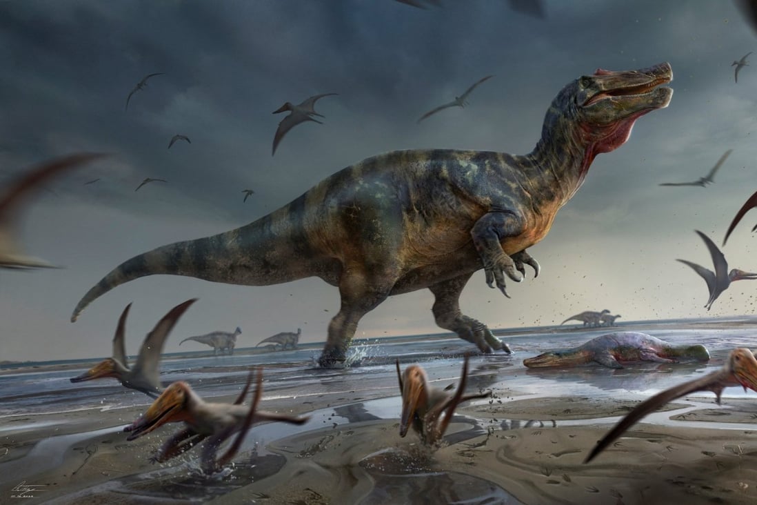 Artist’s illustration shows a large meat-eating dinosaur dubbed the “White Rock spinosaurid,” whose remains dating from about 125 million years ago were unearthed on England’s Isle of Wight. Photo: Anthony Hutchings / Handout via Reuters