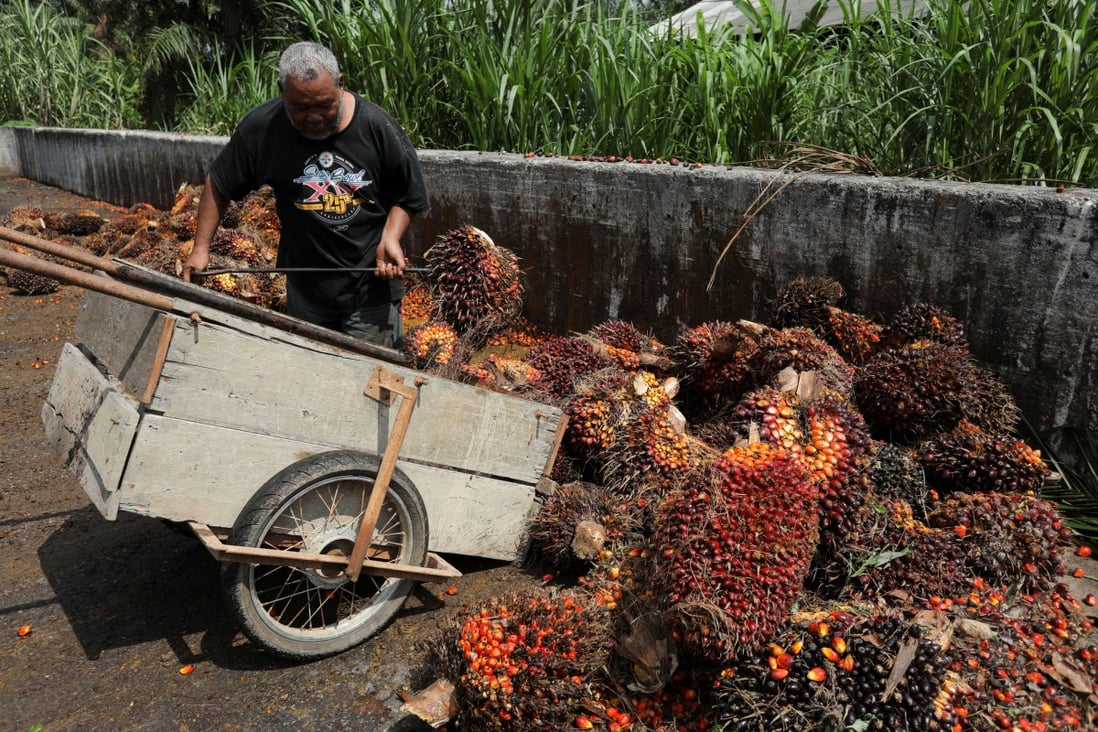 Malaysian companies from palm oil plantations to semiconductor makers are refusing orders and forgoing billions in sales, hampered by a shortage of more than a million workers that threatens the country’s economic recovery. Photo: Reuters