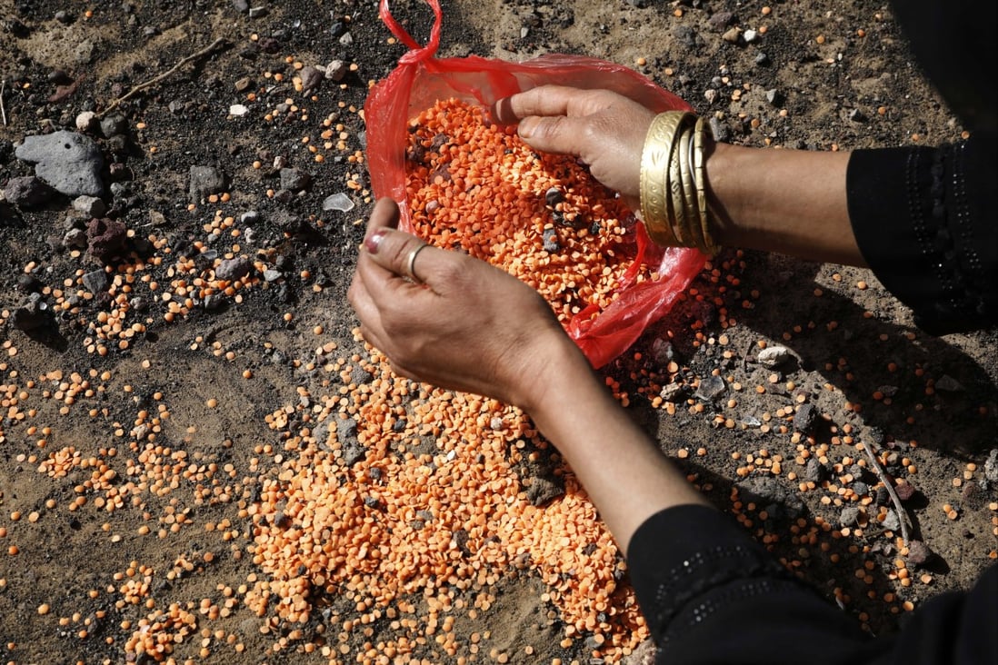A Yemeni woman collects spilled grains from the ground after receiving food aid at a camp for displaced people on the outskirts of Sana’a, Yemen, on April 29. The country is facing the worst humanitarian crisis in the world, the UN has warned. Photo: EPA-EFE
