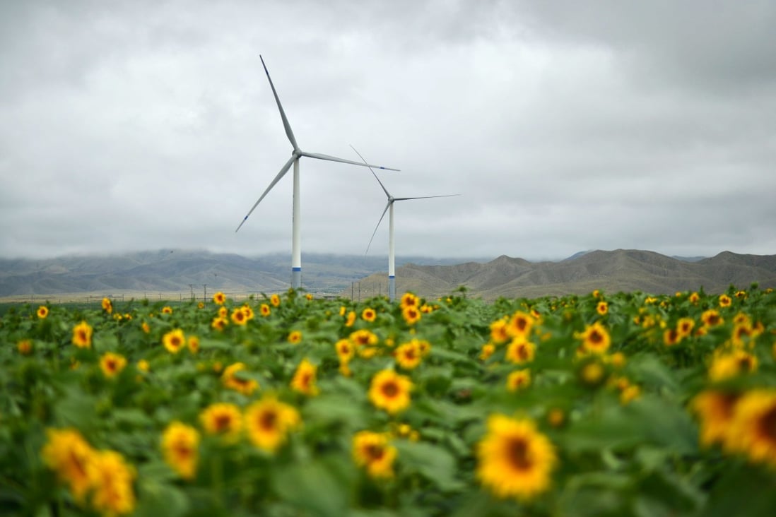 Wind turbines rise amid sunflowers in Jingtai county, in northwest China’s Gansu province, on August 13, 2019. Photo: Xinhua