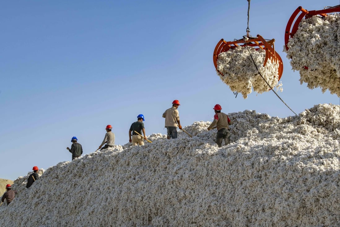 Cotton workers in Xinjiang, where allegations of human rights abuses have become one of the most contentious issues between the European Union and China. Photo: Xinhua