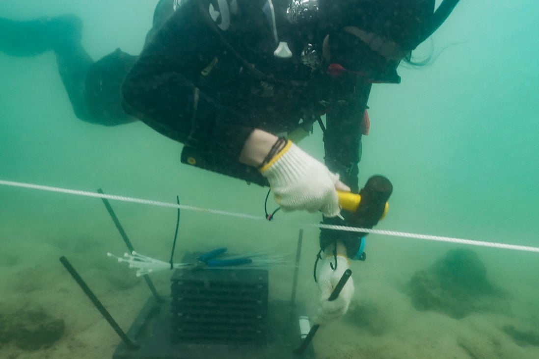 The HKU team has since 2015 been placing autonomous reef monitoring structures on the seabed that are later retrieved to see what has colonised them. Photo: Alex Reshikov