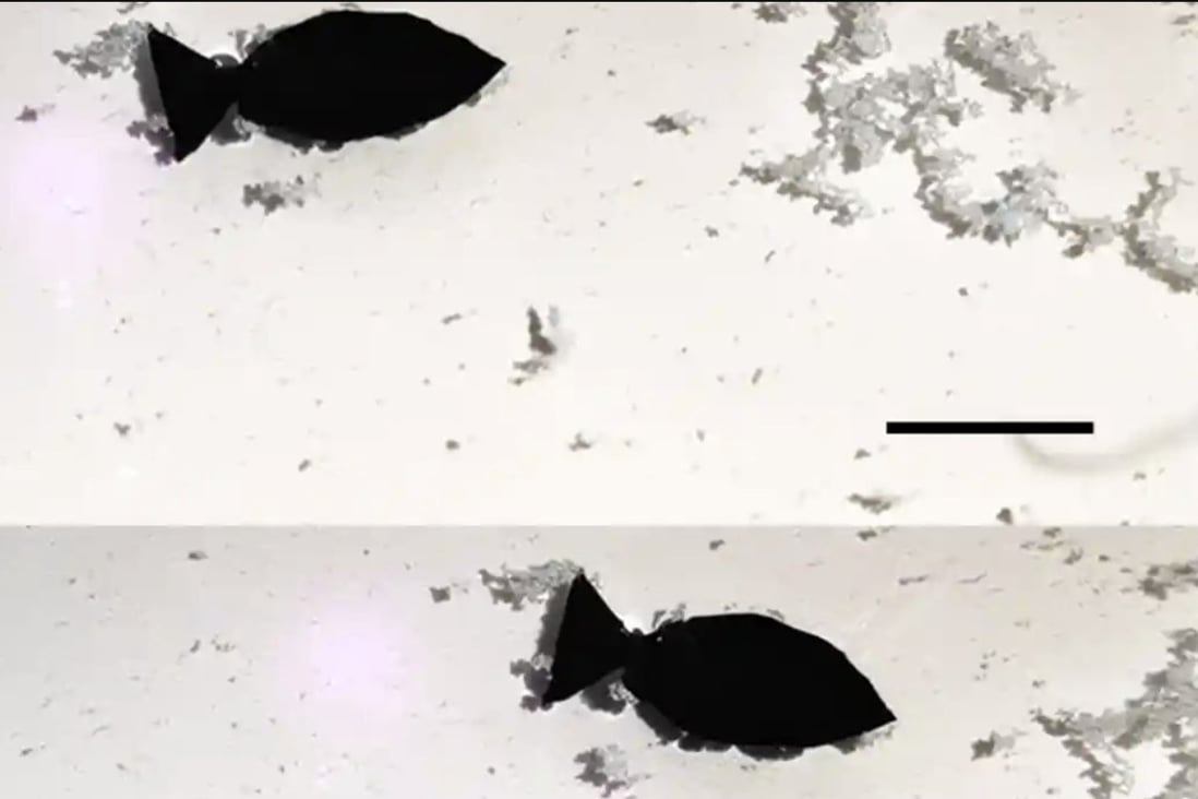 Fish Micro Robot Meet the Chinese fish robots that can ‘eat’ microplastics – and maybe ...