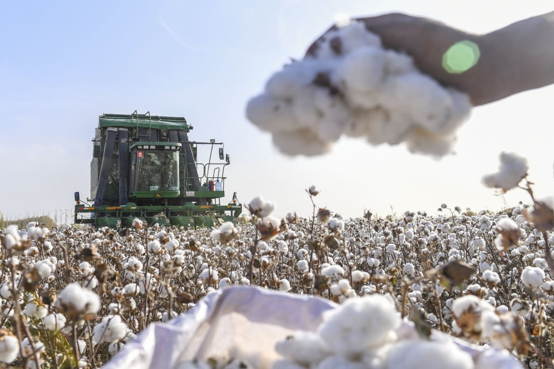 The US law effectively bans American imports of all products, including cotton, sourced from Xinjiang. Photo: Xinhua