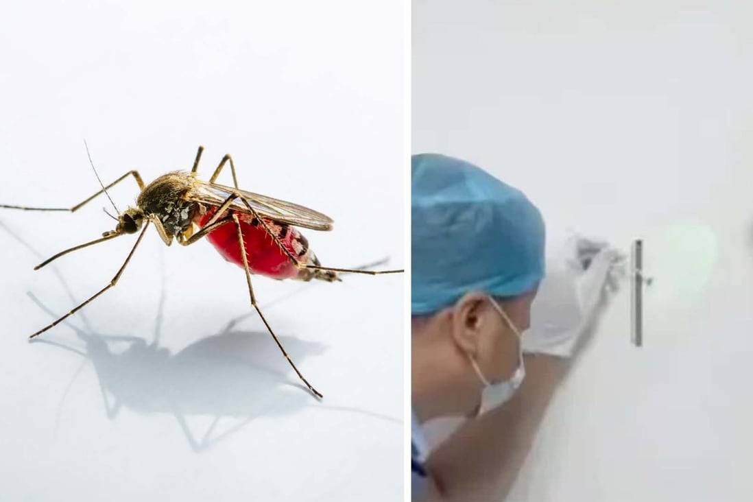 Police use two dead mosquitoes to help solve a burglary in China. Photo: Handout
