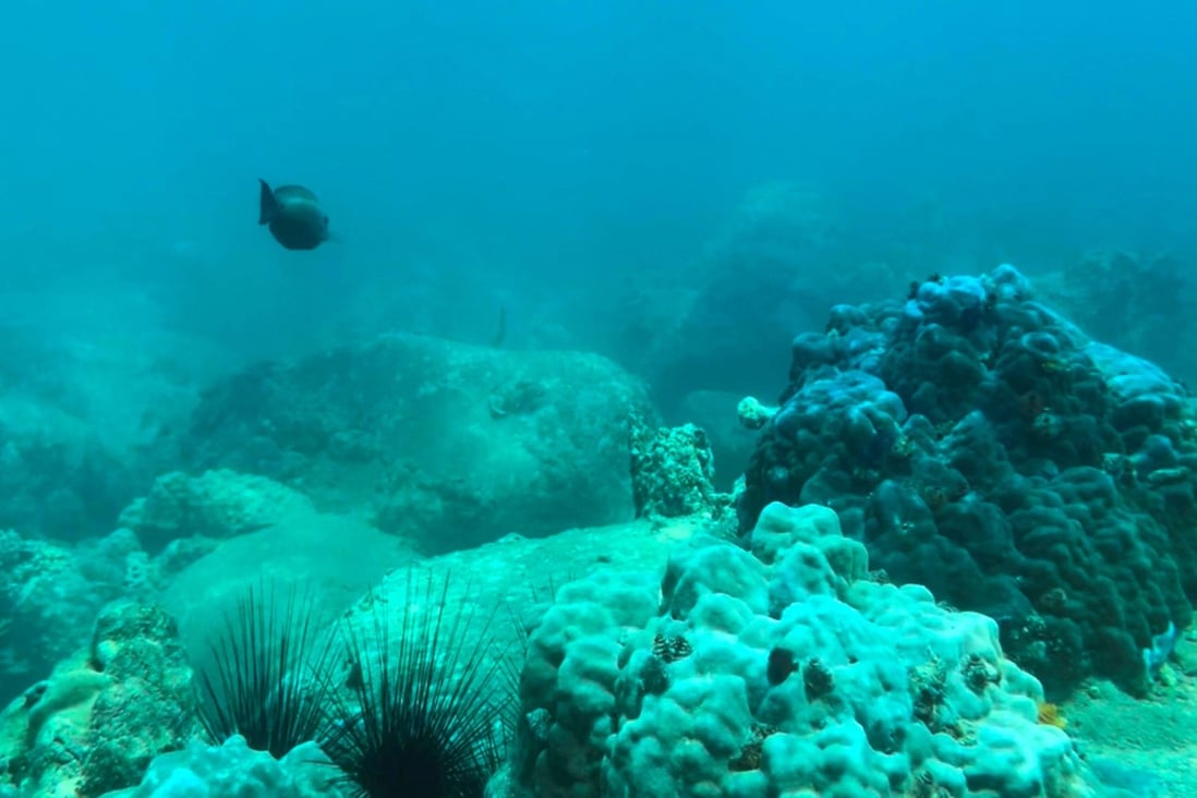 Local authorities have restricted swimming and diving in the Nha Trang Bay marine reserve until it fully inspected the area. File photo: AFP