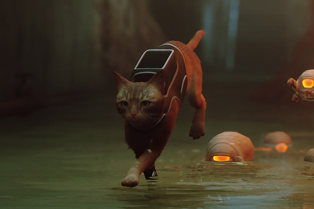 Stray the feline video game is helping cats in real life – gamers  live-stream themselves playing it for audiences to raise funds for pet  charities | South China Morning Post