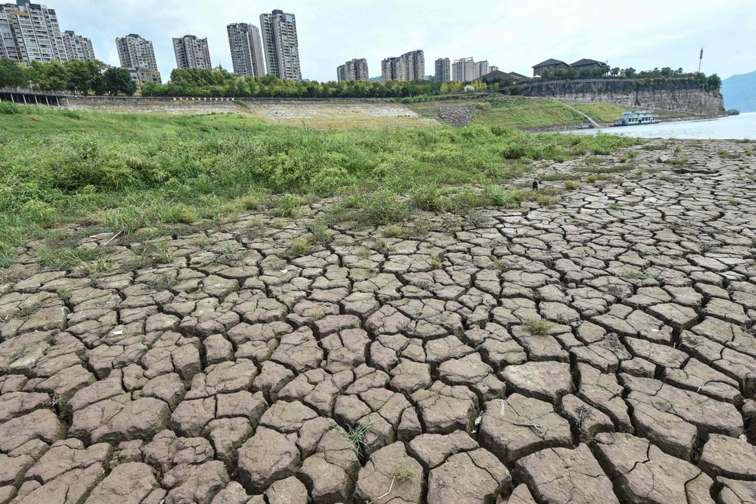 Parts of China are facing the worst drought in 60 years. Photo: AFP