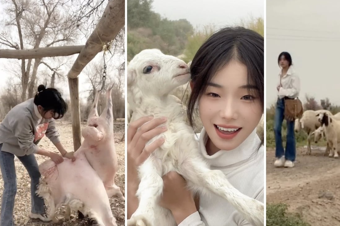 A shepherd in a remote part of China becomes a social media star after her videos about her life with her sheep go viral on mainland social media. Photo: SCMP composite