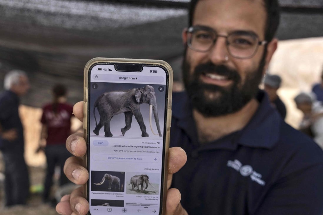 Rare 500,000-year-old fossilised elephant tusk uncovered in Israel