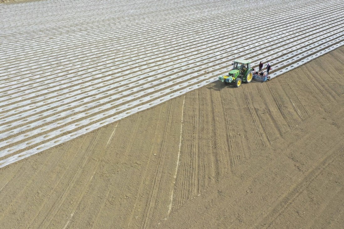 Farmers covered their field with plastic film in Yuli county in the Xinjiang region on March 28, 2021. Photo: Xinhua