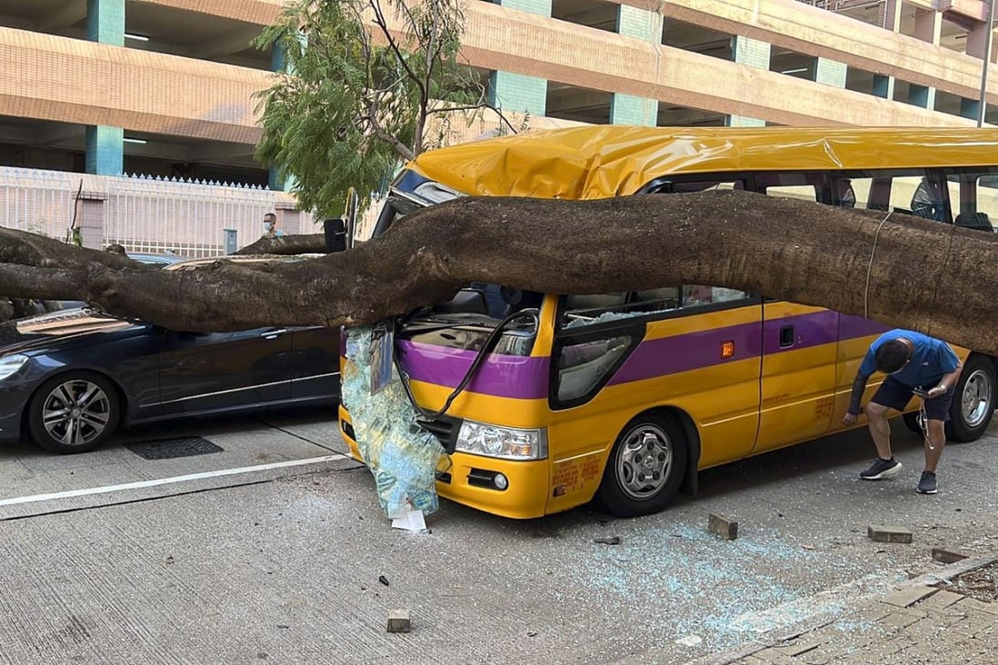 A 15-metre tall flame tree fell on a school bus on Friday,  smashing its windscreen and hitting the roof of a Mercedes-Benz next to it. Photo: Facebook 