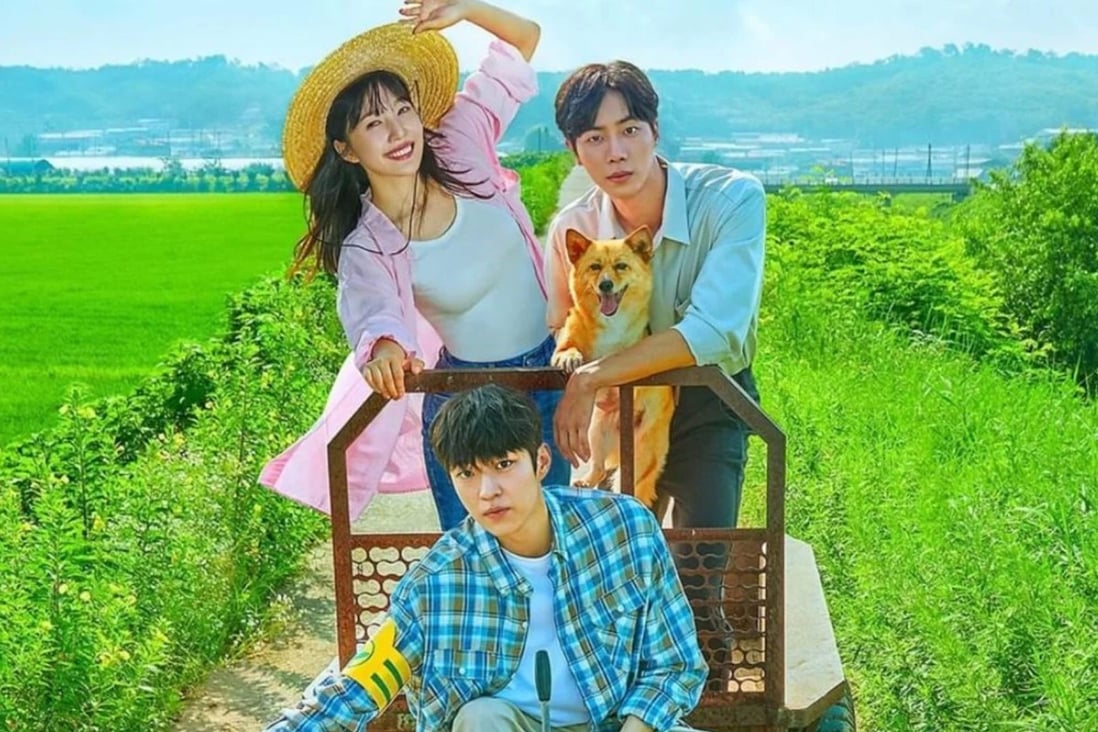 Netflix K-drama Once Upon a Small Town stars Choo Young-woo as a young vet who moves to the country from Seoul. Photo: Netflix